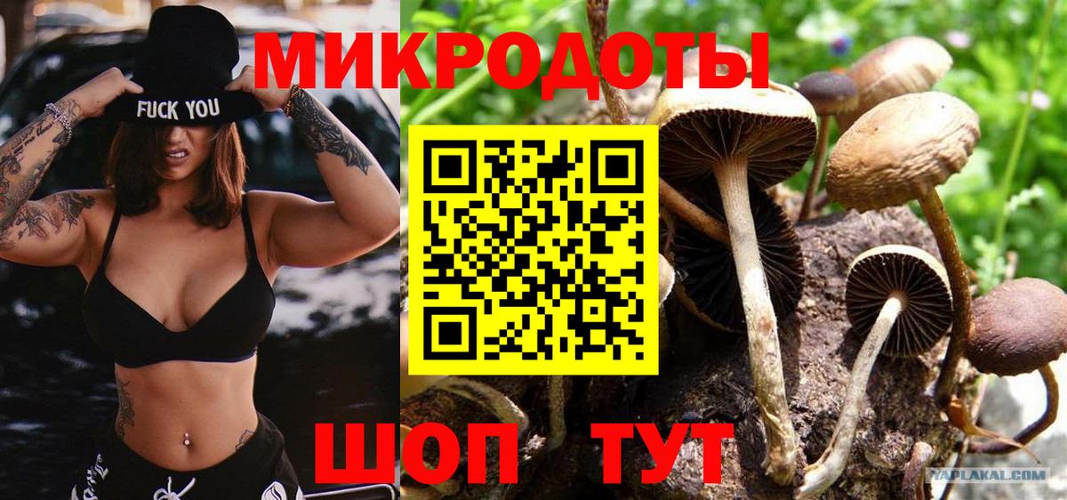 Псилоцибиновые грибы мицелий Сланцы