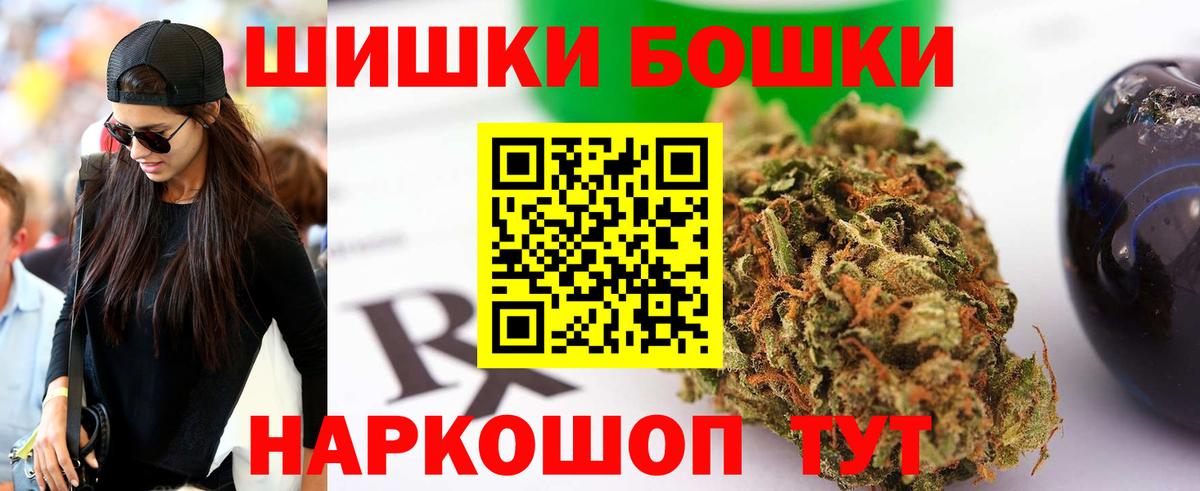 Каннабис планчик  Канабис сатива  Конопля OG Kush  Вход с VPN  Сланцы 